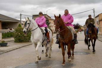 Fotogalería XII Feria del Caballo en Mozoncillo 4 XII Feria del Caballo en Mozoncillo