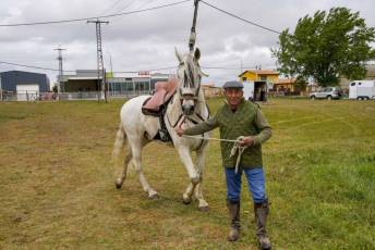 Fotogalería XII Feria del Caballo en Mozoncillo 45 XII Feria del Caballo en Mozoncillo