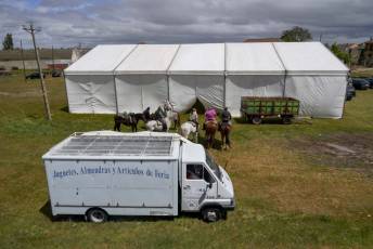 Fotogalería XII Feria del Caballo en Mozoncillo 32 XII Feria del Caballo en Mozoncillo