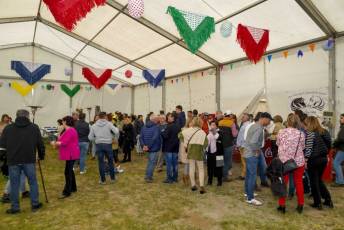 Fotogalería XII Feria del Caballo en Mozoncillo 41 XII Feria del Caballo en Mozoncillo