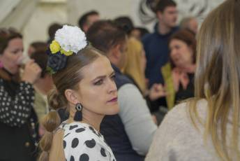 Fotogalería XII Feria del Caballo en Mozoncillo 37 XII Feria del Caballo en Mozoncillo