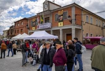 Fotogalería XXIII Edición Feria del Chorizo en Cantimpalos 13 XXIII Feria del Chorizo en Cantimpalos