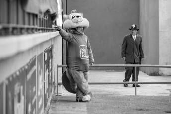Fotogalería Gimnastica Segoviana Campeón de Liga. Ascenso 1ª RFEF 2 Ascenso Gimnastica Segoviana 1ª Ref