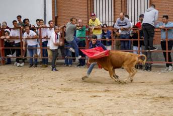 Fotogalería Capea Fiestas San Isidro en Garcillán 29 Capea Fiestas San Isidro en Garcillán
