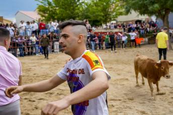 Fotogalería Capea Fiestas San Isidro en Garcillán 16 Capea Fiestas San Isidro en Garcillán