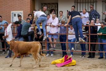 Fotogalería Capea Fiestas San Isidro en Garcillán 64 Capea Fiestas San Isidro en Garcillán