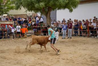 Fotogalería Capea Fiestas San Isidro en Garcillán 5 Capea Fiestas San Isidro en Garcillán