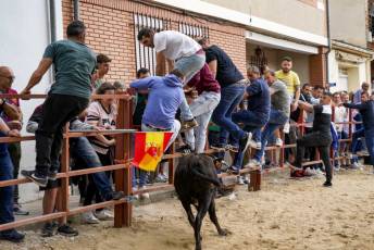 Fotogalería Capea Fiestas San Isidro en Garcillán 2 Capea Fiestas San Isidro en Garcillán