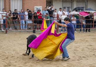 Fotogalería Capea Fiestas San Isidro en Garcillán 76 Capea Fiestas San Isidro en Garcillán