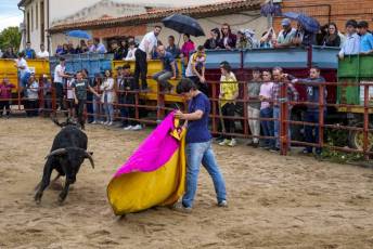 Fotogalería Capea Fiestas San Isidro en Garcillán 12 Capea Fiestas San Isidro en Garcillán