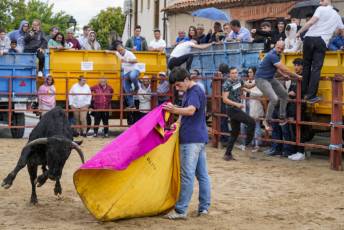 Fotogalería Capea Fiestas San Isidro en Garcillán 20 Capea Fiestas San Isidro en Garcillán