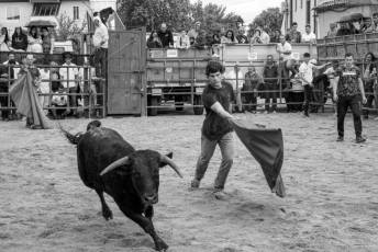 Fotogalería Capea Fiestas San Isidro en Garcillán 25 Capea Fiestas San Isidro en Garcillán