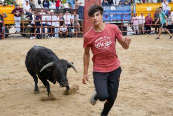 Fotogalería Capea Fiestas San Isidro en Garcillán 19 Capea Fiestas San Isidro en Garcillán