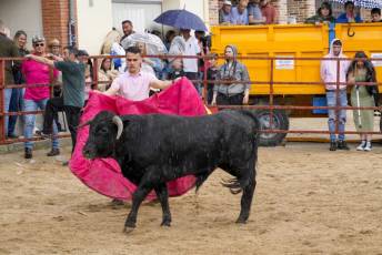 Fotogalería Capea Fiestas San Isidro en Garcillán 44 Capea Fiestas San Isidro en Garcillán
