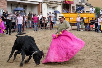Fotogalería Capea Fiestas San Isidro en Garcillán 33 Capea Fiestas San Isidro en Garcillán