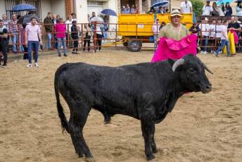 Fotogalería Capea Fiestas San Isidro en Garcillán 71 Capea Fiestas San Isidro en Garcillán