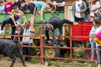 Fotogalería Capea Fiestas San Isidro en Garcillán 36 Capea Fiestas San Isidro en Garcillán