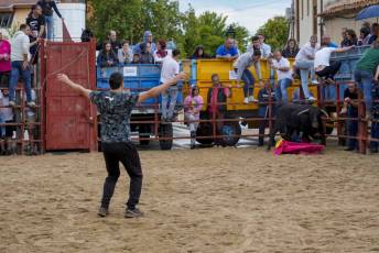 Fotogalería Capea Fiestas San Isidro en Garcillán 13 Capea Fiestas San Isidro en Garcillán