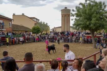 Fotogalería Capea Fiestas San Isidro en Garcillán 41 Capea Fiestas San Isidro en Garcillán