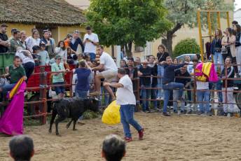 Fotogalería Capea Fiestas San Isidro en Garcillán 74 Capea Fiestas San Isidro en Garcillán