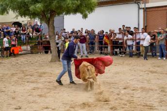 Fotogalería Capea Fiestas San Isidro en Garcillán 69 Capea Fiestas San Isidro en Garcillán