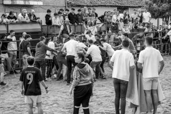 Fotogalería Capea Fiestas San Isidro en Garcillán 80 Capea Fiestas San Isidro en Garcillán