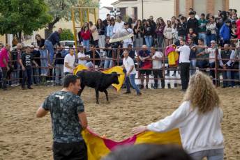Fotogalería Capea Fiestas San Isidro en Garcillán 8 Capea Fiestas San Isidro en Garcillán