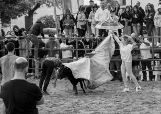 Fotogalería Capea Fiestas San Isidro en Garcillán 27 Capea Fiestas San Isidro en Garcillán