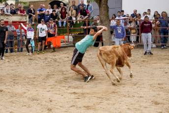 Fotogalería Capea Fiestas San Isidro en Garcillán 37 Capea Fiestas San Isidro en Garcillán