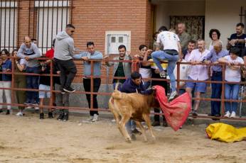Fotogalería Capea Fiestas San Isidro en Garcillán 10 Capea Fiestas San Isidro en Garcillán