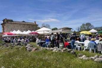 Fotogalería Cruz de Mayo en Matandrino 41 Cruz de Mayo en Matandrino Prádena
