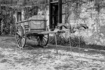 Fotogalería Feria de Ganado en El Espinar 29 Feria del Ganado en El Espinar
