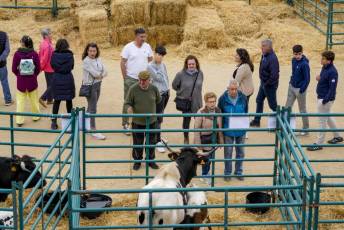Fotogalería Feria de Ganado en El Espinar 58 Feria del Ganado en El Espinar