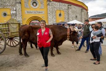 Fotogalería Feria de Ganado en El Espinar 64 Feria del Ganado en El Espinar