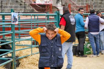 Fotogalería Feria de Ganado en El Espinar 25 Feria del Ganado en El Espinar
