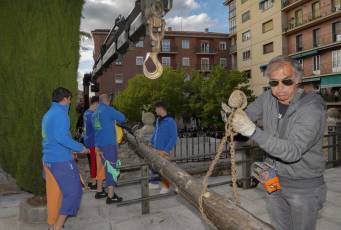Fotogalería Fiestas de la Cruz de Mayo en Barrio Cristo del Mercado 10 Inicio Fiestas Cristo del Mercado