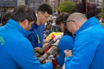 Fotogalería Fiestas de la Cruz de Mayo en Barrio Cristo del Mercado 8 Inicio Fiestas Cristo del Mercado