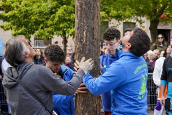 Fotogalería Fiestas de la Cruz de Mayo en Barrio Cristo del Mercado 42 Inicio Fiestas Cristo del Mercado