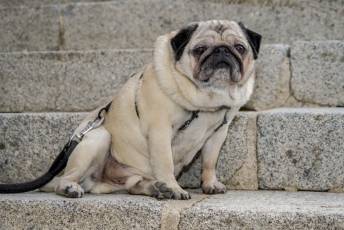 Fotogalería Fiestas de la Cruz de Mayo en Barrio Cristo del Mercado 44 Inicio Fiestas Cristo del Mercado