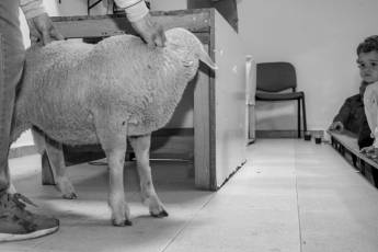 Fotogalería Procesión Virgen del Carrascal en Villacastín 14 Procesión Virgen del Carrascal en Villacastín