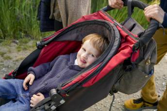 Fotogalería Romería Virgen de la Adrada en Otero de Herreros 18 Romería Virgen de la Adrada en Otero de Herreros