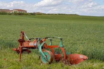 Fotogalería XVIII Feria del Garbanzo de Valseca 28 XVIII Feria del Garbanzo de Valseca