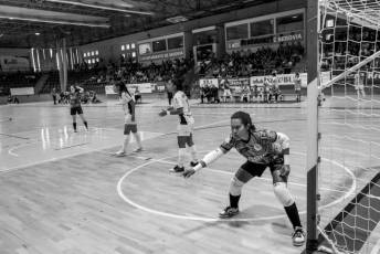 Fotogalería Futbol Sala Femenino Segosala vs IES Luis Camoens Play Off Ascenso 35 Futbol Sala Femenino Segosala vs IES Luis Camoens Play Off Ascen