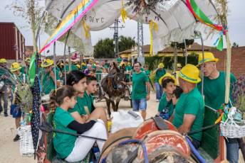 Fotogalería IV Romería Castellana a San Cebrián en Zarzuela del Pinar 29 IV Romería Castellana a San Cebrián