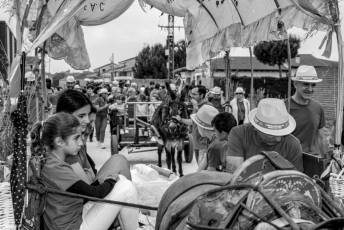 Fotogalería IV Romería Castellana a San Cebrián en Zarzuela del Pinar 57 IV Romería Castellana a San Cebrián