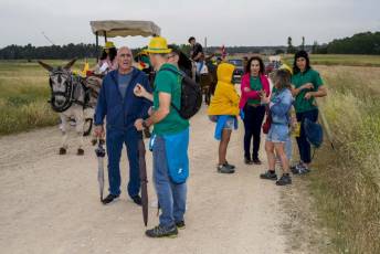 Fotogalería IV Romería Castellana a San Cebrián en Zarzuela del Pinar 58 IV Romería Castellana a San Cebrián