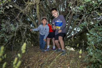 Fotogalería IV Romería Castellana a San Cebrián en Zarzuela del Pinar 5 IV Romería Castellana a San Cebrián