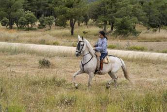 Fotogalería IV Romería Castellana a San Cebrián en Zarzuela del Pinar 76 IV Romería Castellana a San Cebrián