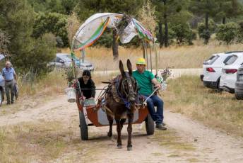 Fotogalería IV Romería Castellana a San Cebrián en Zarzuela del Pinar 73 IV Romería Castellana a San Cebrián
