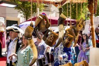 Fotogalería Mercado Barroco en La Granja de San Ildefonso 65 Mercado Barroco en La Granja de San Ildefonso
